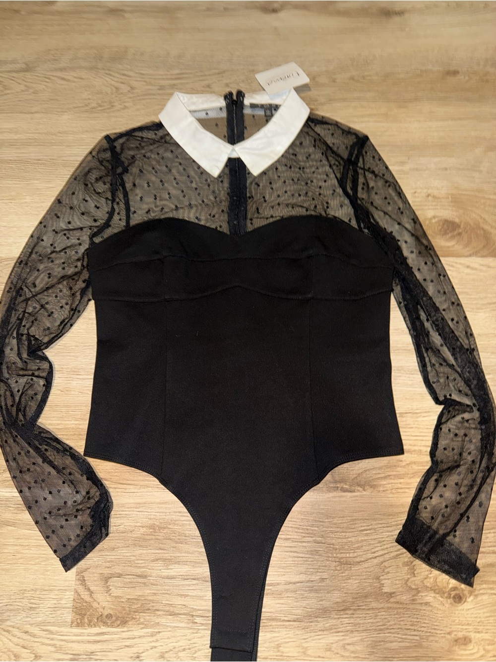 Sheer Dot Mesh Black Bodysuit with White Collar